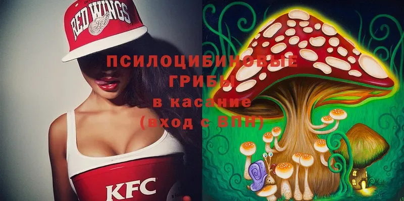 Галлюциногенные грибы Magic Shrooms  мега вход  Краснообск 